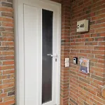Apartamento Seesternchen Am Deich2 C46 Norden