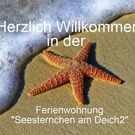 Seesternchen Am Deich2 C46 아파트 노르덴