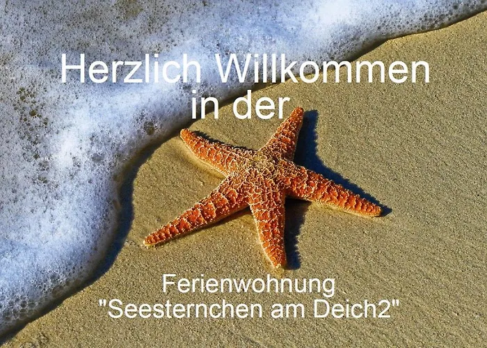 Seesternchen Am Deich2 C46 شقة نوردين